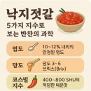 푸드인플러스