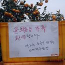 현규농장 이미지