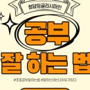 팔룡중학교 이미지