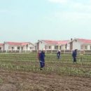 통일농민농장 이미지