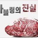 소고기 마블링 진실, 가장 비싼 정크 푸드를 먹는 우리 - 매거진 낯선사고 '' 이제는 소비자가 제대로 알아야 할때 : 네이버 블로그 이미지