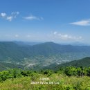 구봉산전망대 이미지