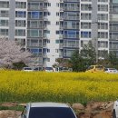 용소5길 이미지