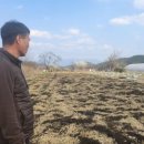 김덕수농장 이미지