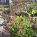 창연농장 이미지