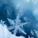 맥스테크 이미지