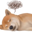 토끼를따라간앨리스 이미지