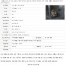 디아크동물병원 이미지