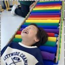 푸른태권도체육관 이미지