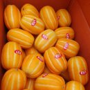 블랙야채