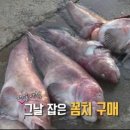 강현농업협동조합강현농협주유소