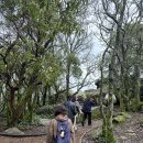 별장 하몽 | [세미패키지-트래블서치] 7박9일 포르투갈 여행.✈️ _ DAY 3