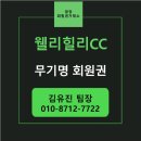 웰리힐리CC 페어웨이빌라(히든힐스) | 신안그룹에서 운영하는 강원도 횡성 웰리힐리CC 무기명 회원권 가격