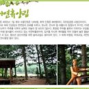 소나무이야기 펜션 이미지