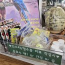 앵무새 카페 앵무세상 당진 삽교천 볼거리 내돈내산 솔직후기