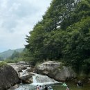 월성계곡산장 | 경남 계곡 추천 거창 명소 월성계곡산장 평상 대여 백숙 예약 (외부음식반입가능)