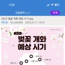 마장왕족발 이미지