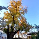 하촌어린이공원 이미지