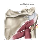 반석한의원 이미지