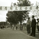 새서울이용원 이미지