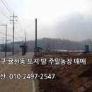 귤현역 앞 이미지