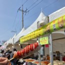 먹거리마을분식 | [제주/축제] 애월읍 왕벚꽃축제 다녀왔는데… 벚꽃이 없다?! 먹거리 가득했던 장전리 후기