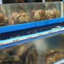 진주네맛집 이미지