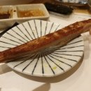 혼참치 이미지