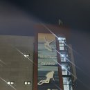 TNS | 펀다이빙 [오산 TNS 테마 잠수풀] 첫 방문 후기