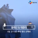 영도구-6 이미지