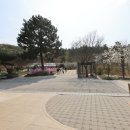 바다향기수목원(장미원) 이미지