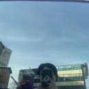 더벤티김천덕곡점 이미지