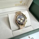 데이토나 이미지