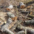 가을농원 이미지