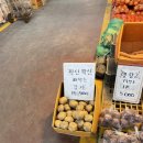 용꼬리반이 특훈반에 들어갔다는 것은