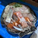 노량진수산시장 횟집 맛집 청양수산 - 지금 제철 전갱이 모둠회 후기