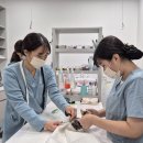 참좋은동물병원(출장진료전문 동물병원) | 울산동구동물병원 고양이만을 위한 따뜻한 진료? '잘하는'은 가능합니다.