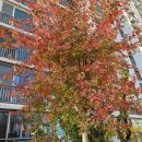 퇴계공인중개사사무소 이미지