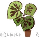 푸르름의 농원 이미지