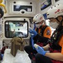 덕진-119 이미지