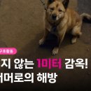 작은도서관 에듀공감 이미지