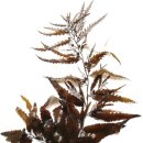 파이힐(주) 이미지