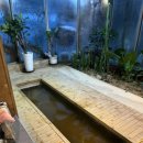 수락산 편백원 이미지