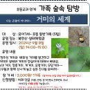 9.8(일)초등교과 연계 가족숲속탐방(거미의 세계)_오후2시_유아7세~초등생 동반 가족 대상 이미지