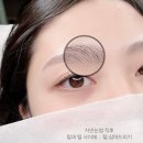 청하육교