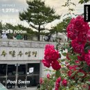 수달수영장 앞 | 전북 무주 수달수영장 원정수영 후기-장거리 연습1.5km