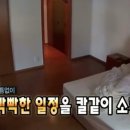 소호로L 네이버블로그