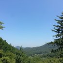 뜨레난농장 네이버블로그