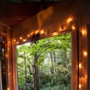 숲속 아지트 이미지