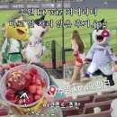 11650-7-69-2 | kt wiz 파크 1루 응원지정석 107구역 7열 시야 후기 응원단상 바로 앞 럭키비키 ☘